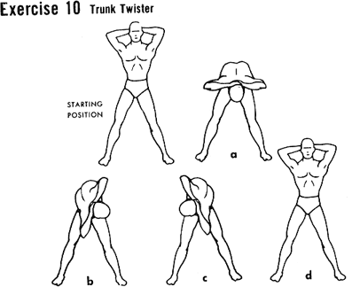 Trunk Twister