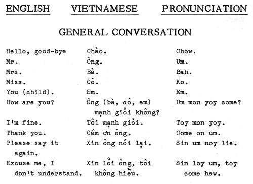 Vietnamese Language