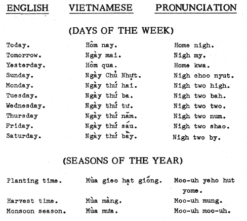 Vietnamese Language