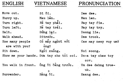 Vietnamese Language