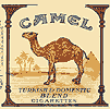 camel